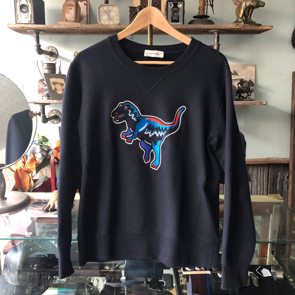 Coach Outlet Dinosaur Sweater Coach Coach Rexy Sweater Outlets